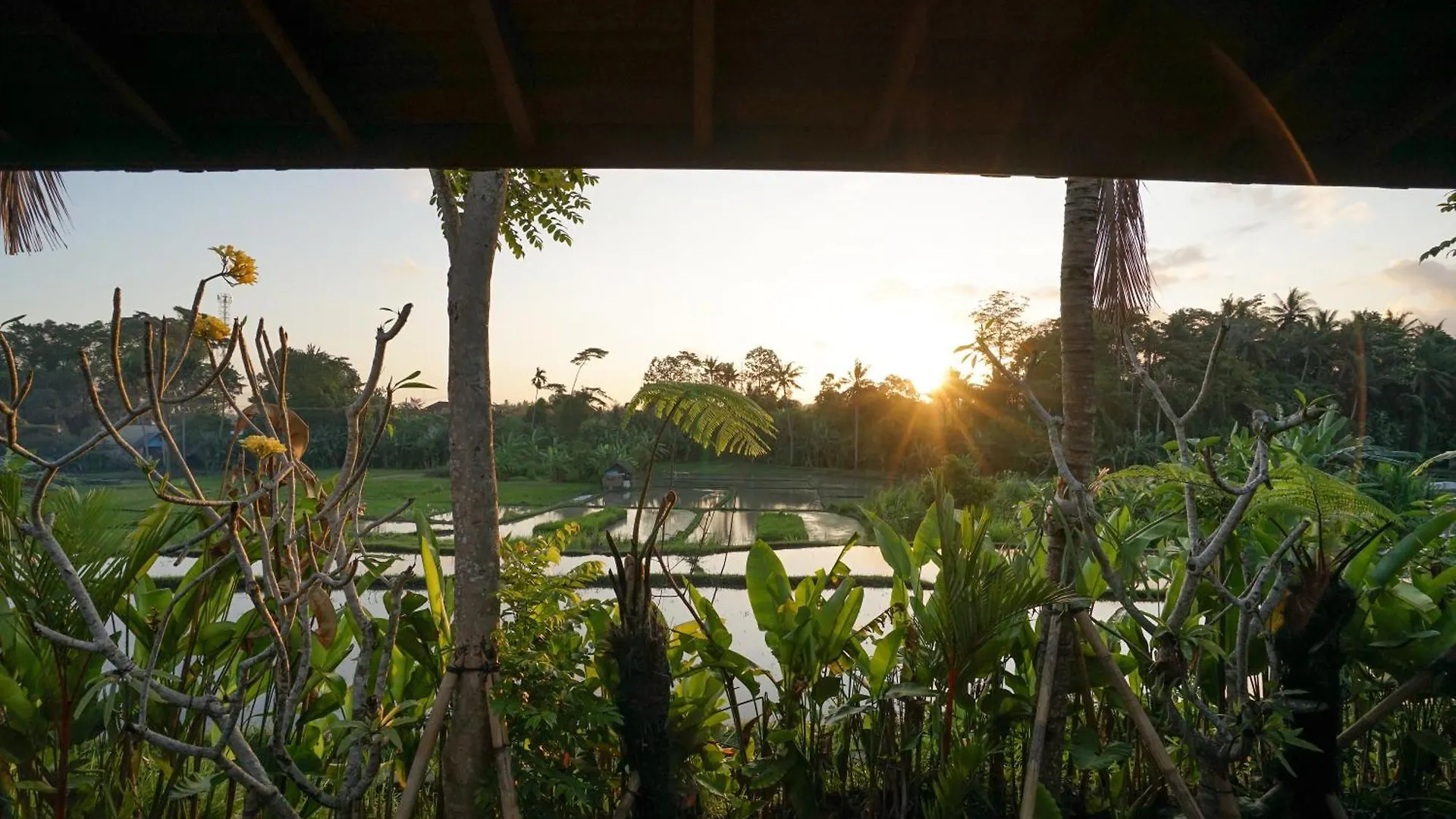 Holiday park Ubud Art Resort