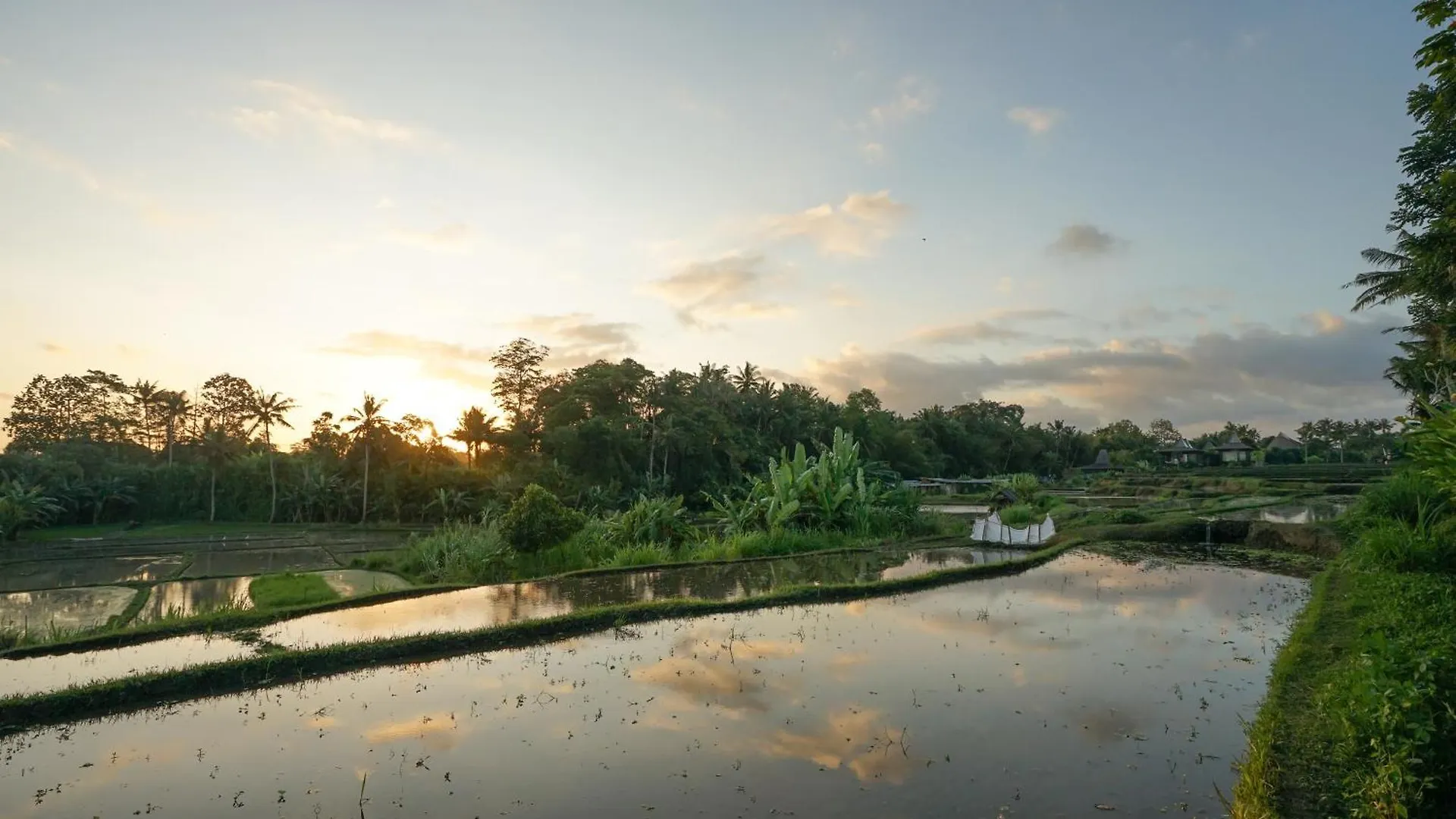 Ubud Art Resort Holiday park Ubud (Bali)
