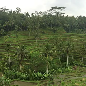 Pangkung House Ubud (Bali)