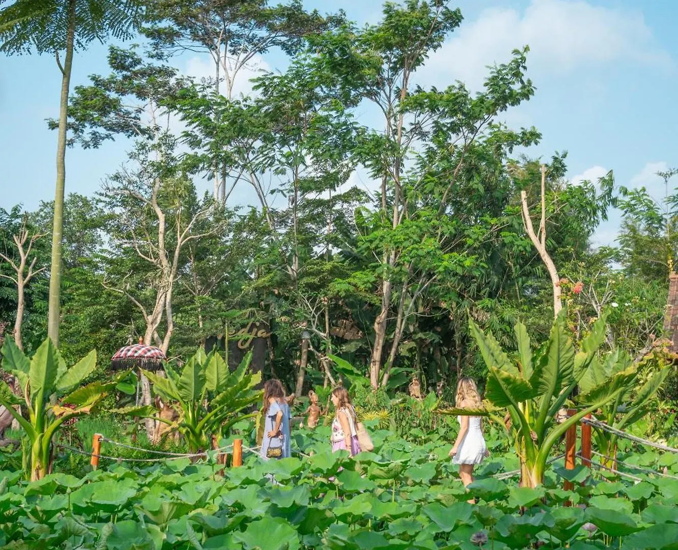 Ubud Art Resort